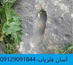 نشانه چارق