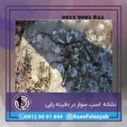 نشانه اسب در دفینه یابی