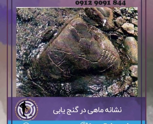 نشانه ماهی در گنج یابی