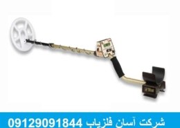 فلزیاب Tesoro Deleon