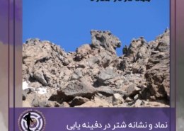 نماد شتر در دفینه یابی