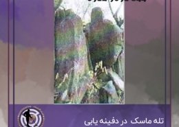 تله ماسک در دفینه یابی