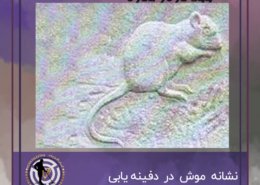 نشانه موش در دفینه یابی