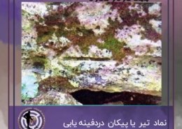 نماد تیر یا پیکان دردفینه یابی