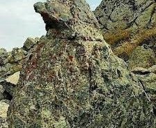 نماد کبک