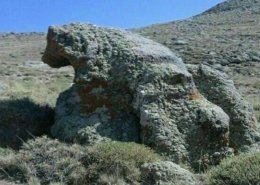 نشانه خرس لنگان در دفینه یابی