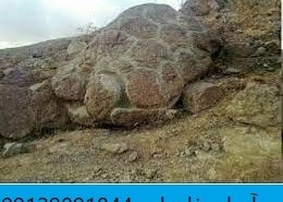 حیوانات تخم گذار در دفینه یابی