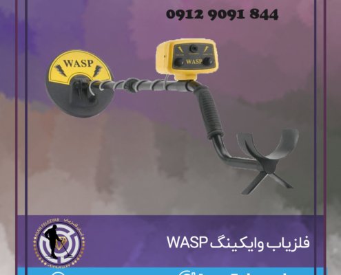 فلزیاب وایکینگ WASP