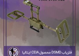 dsmd